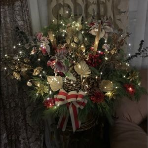 Meet your Posher, Ann marie